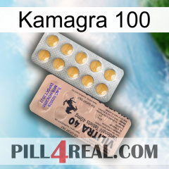 Kamagra 100 41